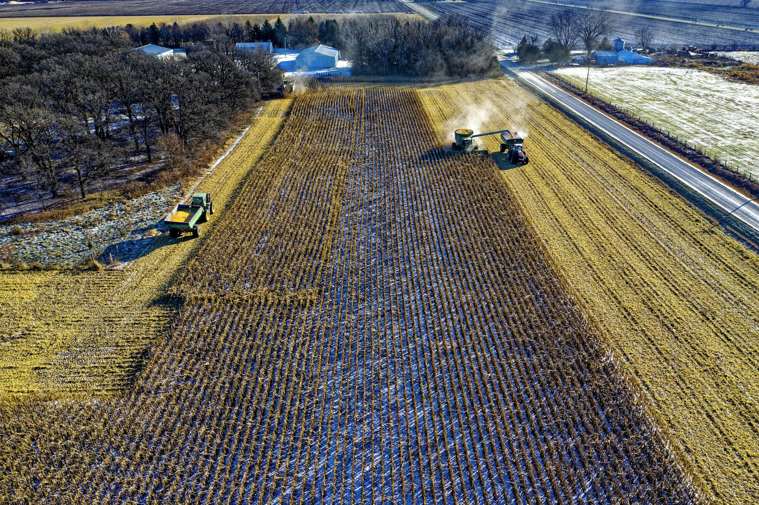 Stunning aerial shot of cornfields being harvested by tractors in rural Austin, Minnesota.